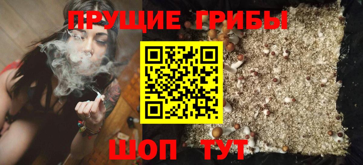 Псилоцибиновые грибы мицелий  Вход с VPN  Сланцы  Псилоцибиновые грибы ЛСД 