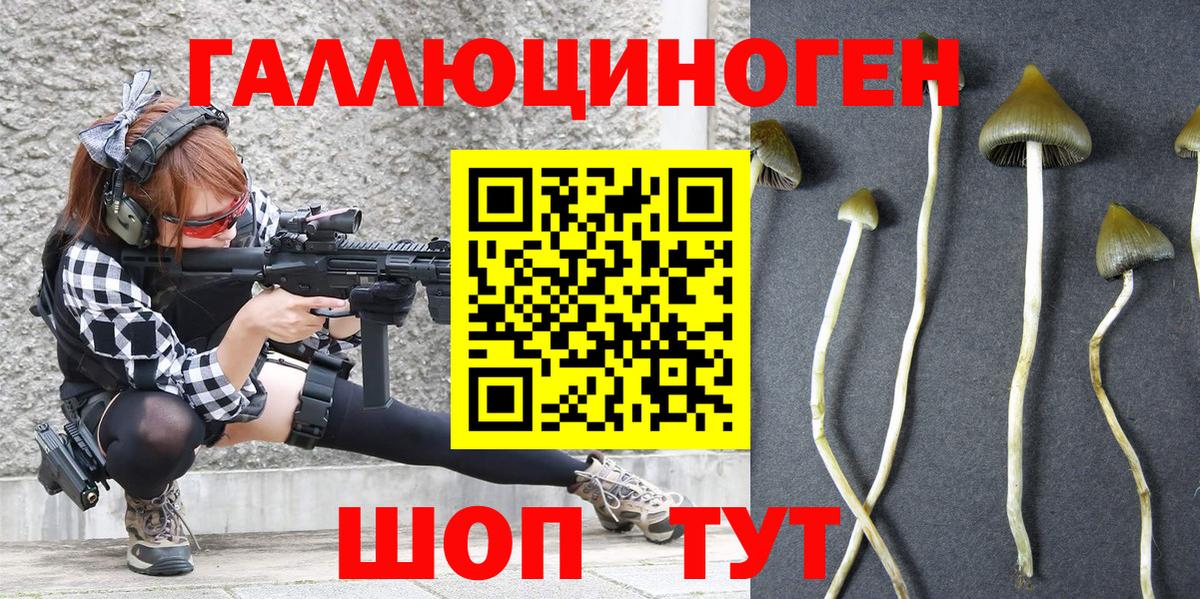 Галлюциногенные грибы мухоморы Сланцы